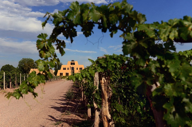 Zapata winery